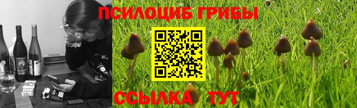 Галлюциногенные грибы MAGIC MUSHROOMS  Вход с VPN  Новоалтайск 